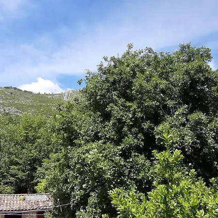 Bed & Breakfast Casale Rio Conca *