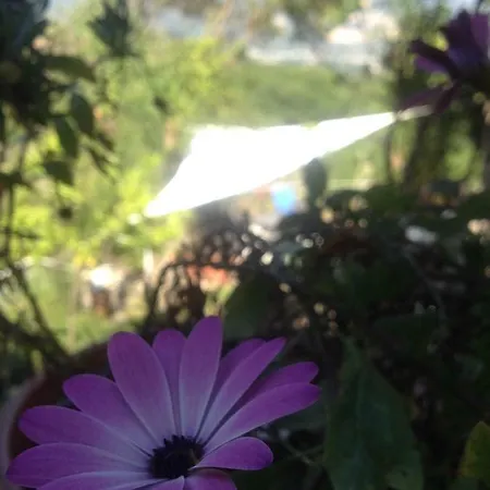 Bed & Breakfast Casale Rio Conca *