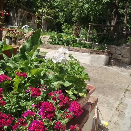 Casale Rio Conca Bed and Breakfast
